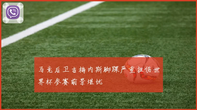 马竞后卫吉梅内斯脚踝严重扭伤世界杯参赛前景堪忧