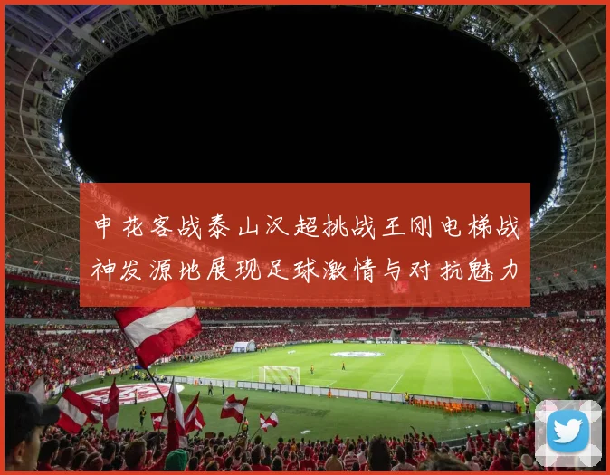 申花客战泰山汉超挑战王刚电梯战神发源地展现足球激情与对抗魅力
